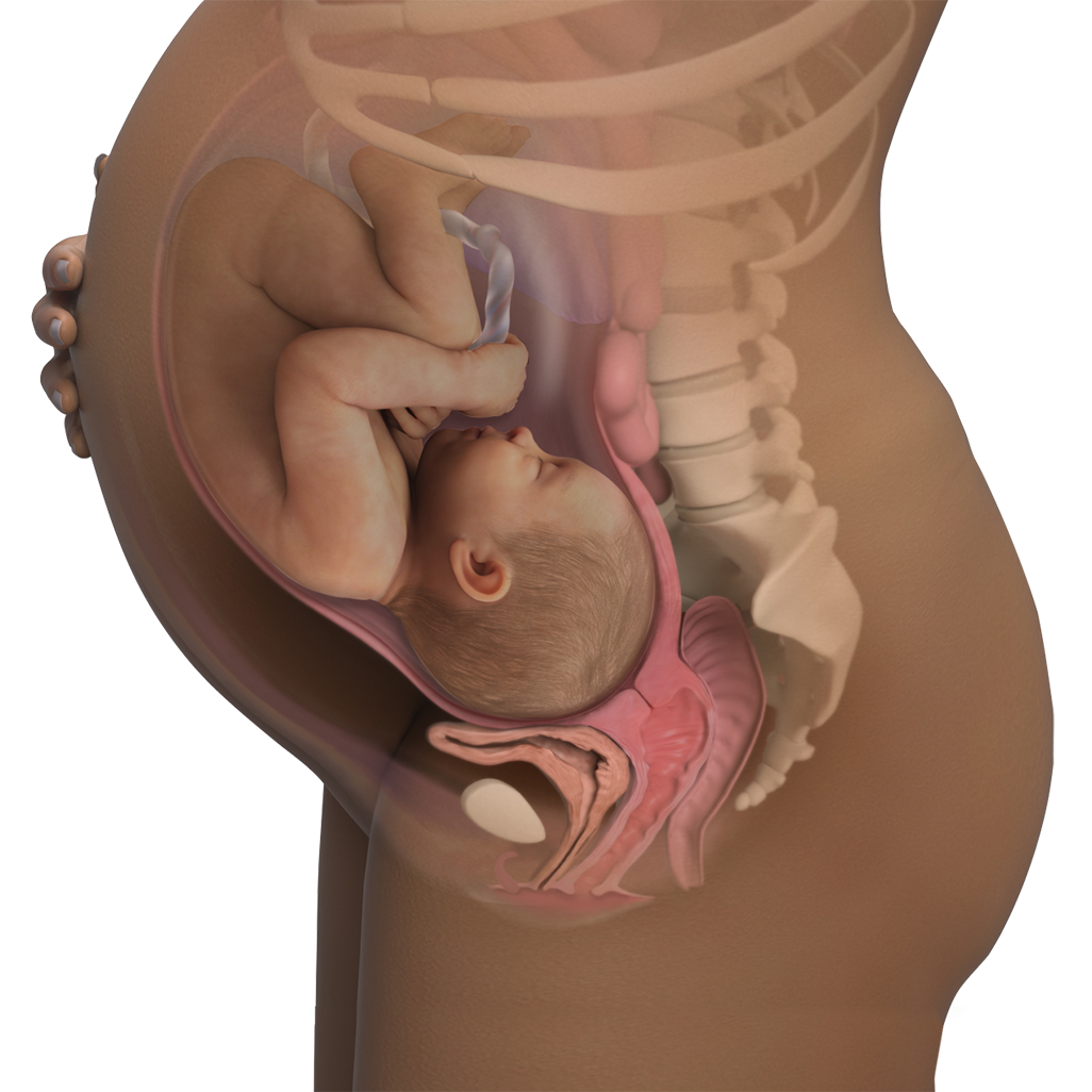 Mang thai tuần 40: Mẹ bầu có những dấu hiệu gì?